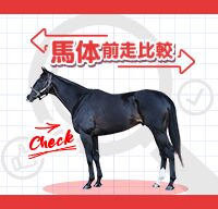 馬体前走比較
