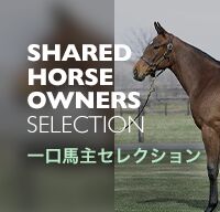 一口馬主セレクション