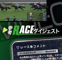 参考レースダイジェスト