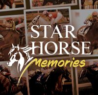 STAR HORSE Memories
